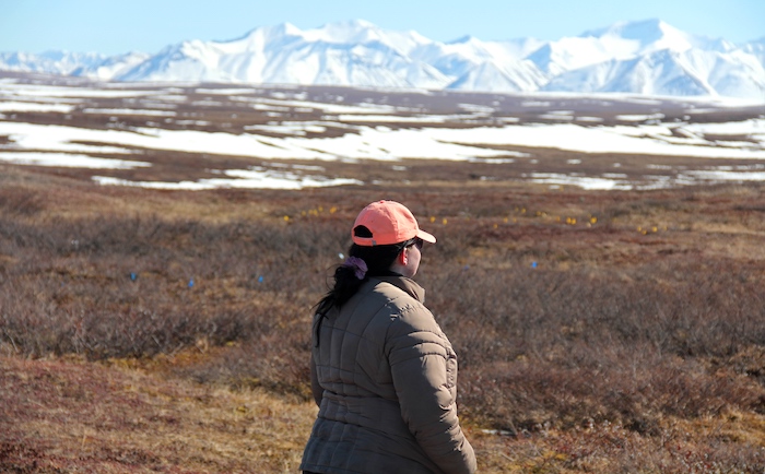 Figure 1. Liza Backman stands on the boardwalk while monitoring the MISP (mobile instrumented sensor platform) at Toolik. Photo courtesy of Jeremy May. 