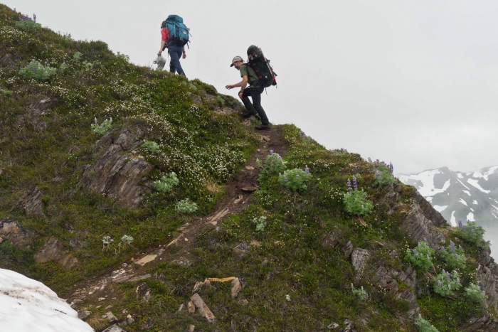 JIRP faculty members Drs. Catharine White (Northwest Community College) and Jeremy Littell (USGS), ascend Blackerby Ridge towards camp after a day-long outing to explore alpine ecology, and dendrochronology with a team of JIRP students. Photo courtesy of Matt Beedle