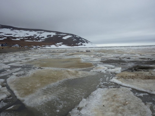 23 May 2015 - Ice off the coast of Wales. Photo courtesy of Amos Oxereok.