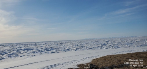 Sea ice and weather conditions at Cape Douglas - view 4.