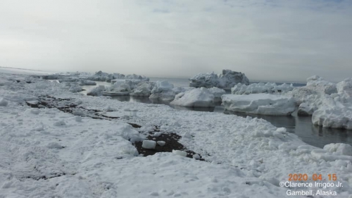 Sea ice conditions in Gambell.