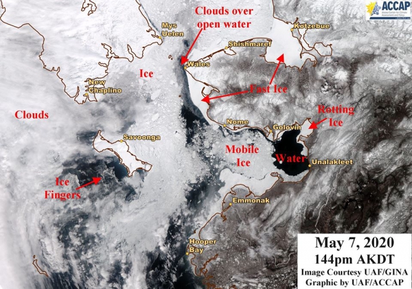 Sea ice image provided by Rick Thoman, ACCAP.