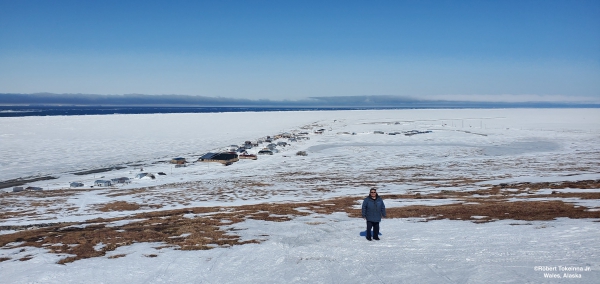 Nearshore ice conditions in Wales (and Robert) - view 3.