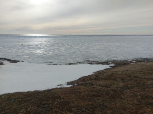 Wales sea ice