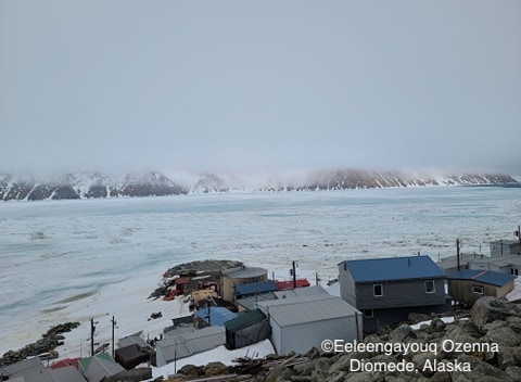 Sea ice conditions in Diomede on 12 May 2020 - view 4.