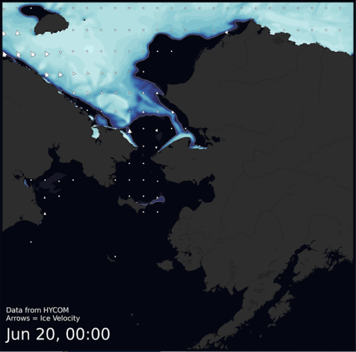 Visit the SIWO Facebook page @seaiceforwalrus to view this animation showing the predicted movement of ice predicted by the HYbrid Coordinate Ocean Model (HYCOM). 