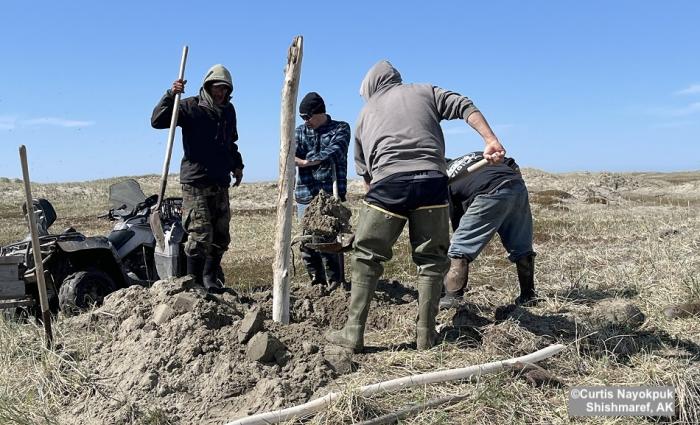 End of the hunting season in Shishmaref. Photos courtesy of Curtis Nayokpuk.