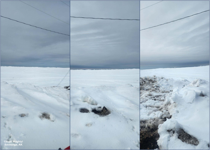 Weather and sea-ice conditions in Savoonga. Photos courtesy of Aqef Waghiyi.